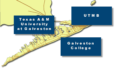 Galveston Higher Education